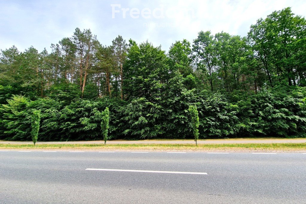 Działka leśna na sprzedaż Biała Podlaska, Lubelska  14 300m2 Foto 1