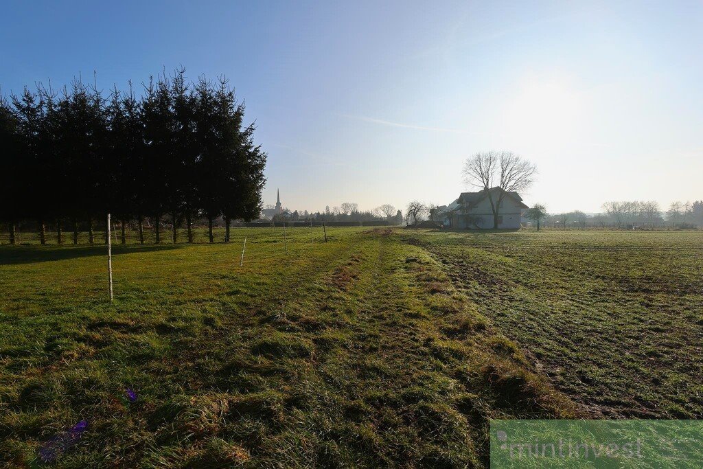 Działka inna na sprzedaż Przemocze  840m2 Foto 6