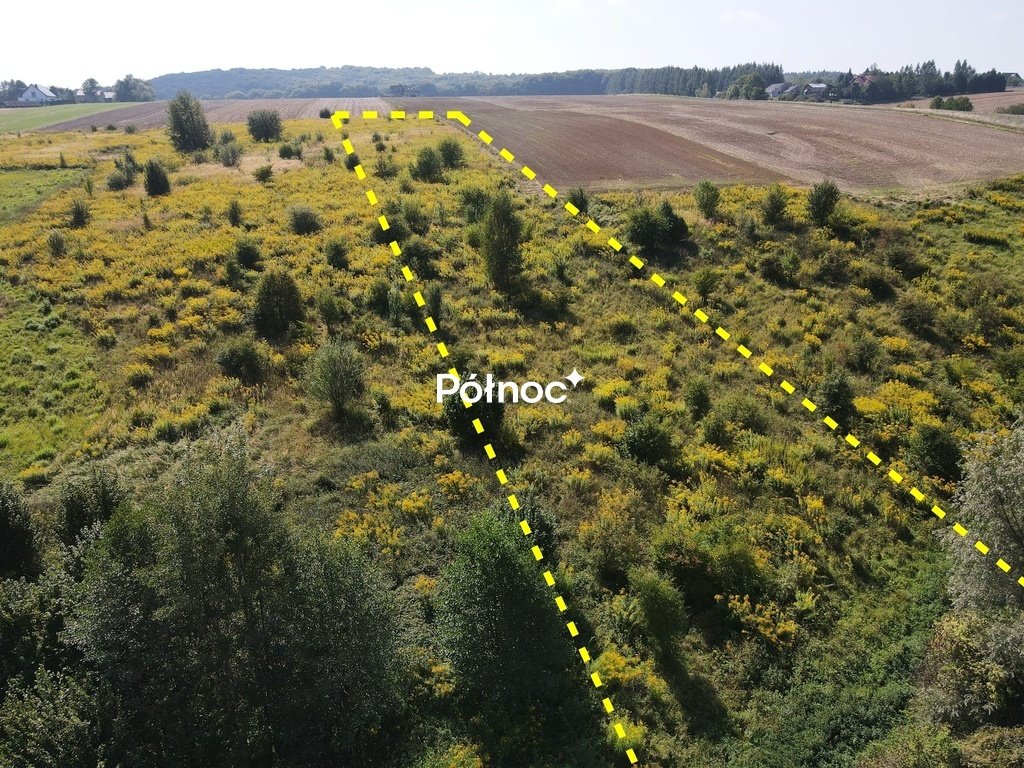 Działka 5100 m² pod zabudowę jednorodzinną i usługową Przybysławice  5 100m2 Foto 1