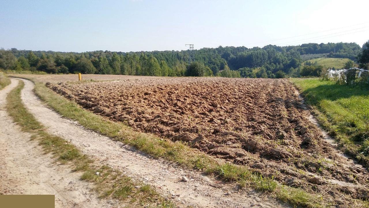 Działka budowlana na sprzedaż Wylągi  5 140m2 Foto 2