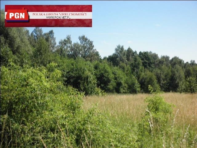 Działka pod zabudowę w Polanicy-Zdroju - 12 120 m². Polanica-Zdrój  12 120m2 Foto 1