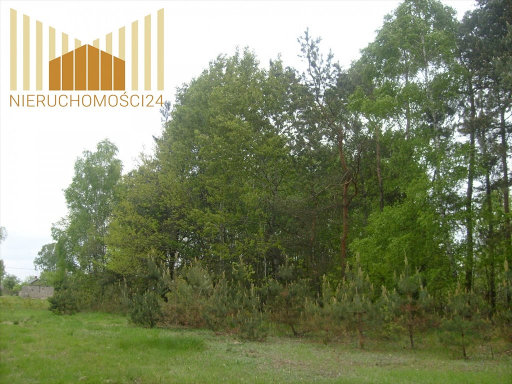 Na sprzedaż działka 17 100 m² z planem zabudowy w Chmielewie Mińsk Mazowiecki, Chmielew  17 100m2 Foto 1