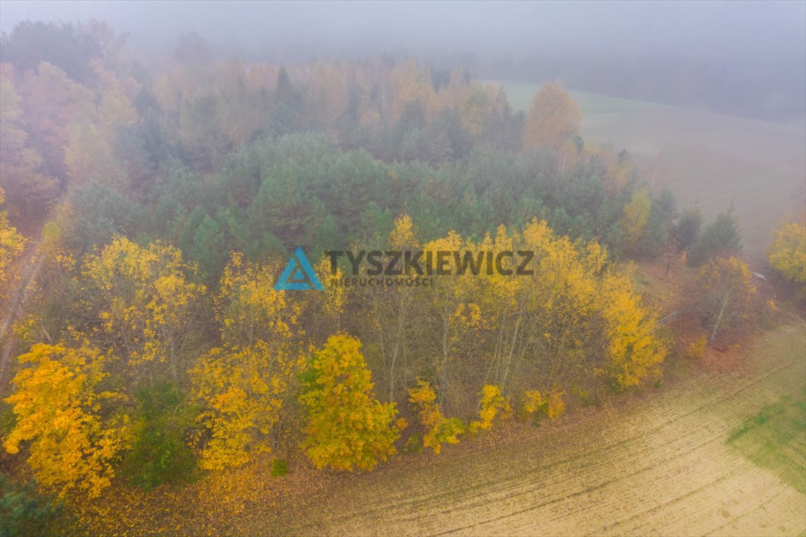 Działka rolna na sprzedaż Górne Maliki  5 059m2 Foto 6