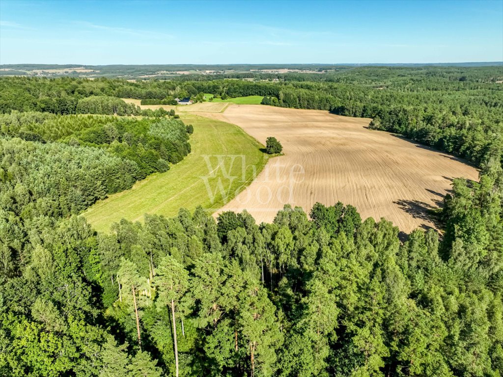 Działka rolna na sprzedaż Kętrzyno  453 100m2 Foto 9