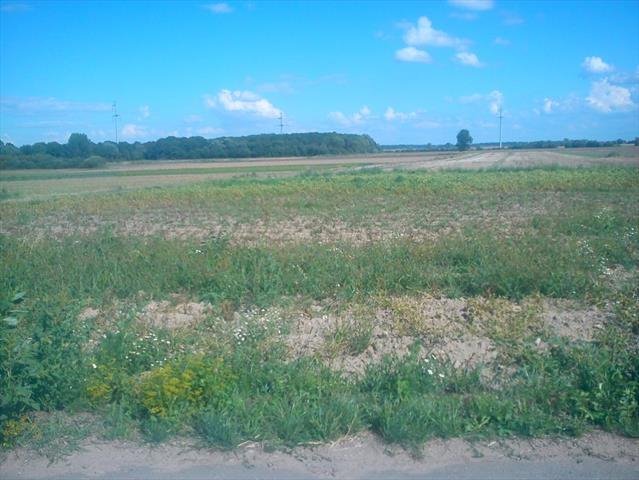 Działka rolna na sprzedaż Mirków  17 000m2 Foto 1