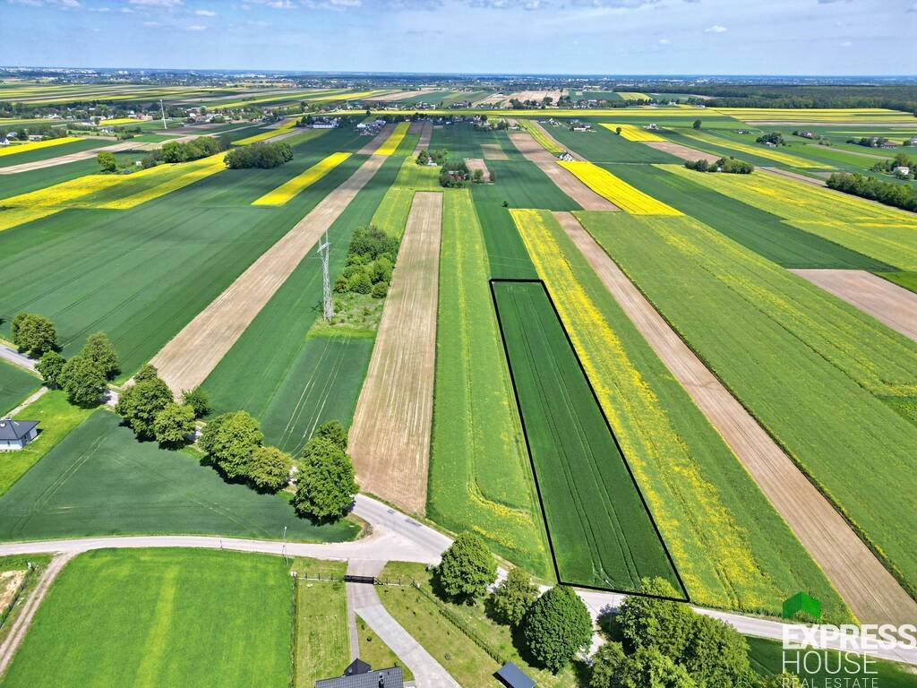 Działka budowlana na sprzedaż Wilczopole-Kolonia, Żurawinowa  3 971m2 Foto 1