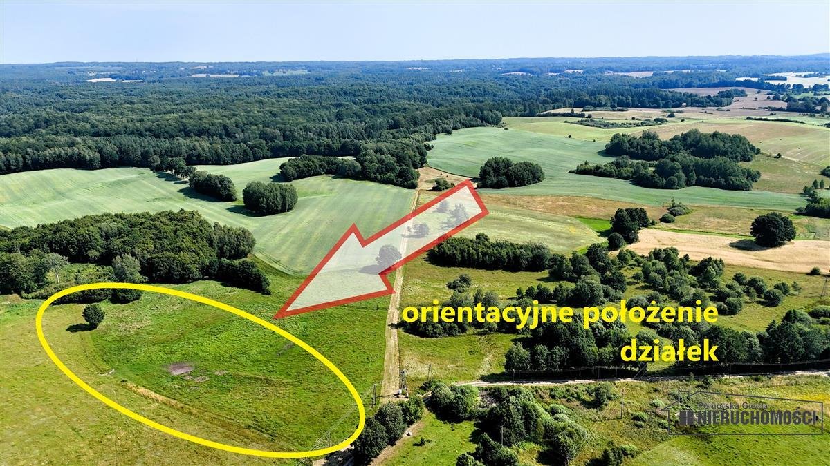 Działka budowlana na sprzedaż Mieszałki  2 200m2 Foto 4