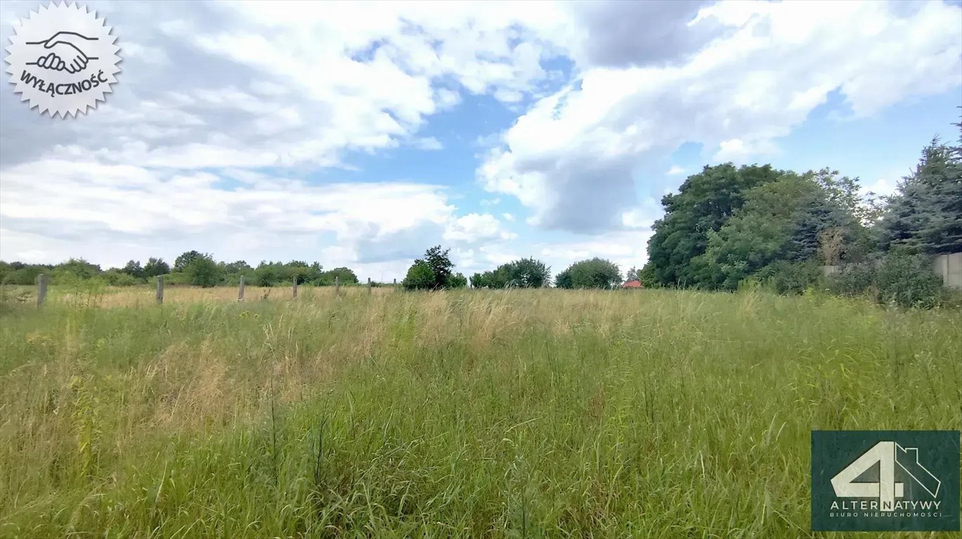 Działka rolna na sprzedaż Dąbrówka Wielka, Dąbrowska  5 500m2 Foto 1