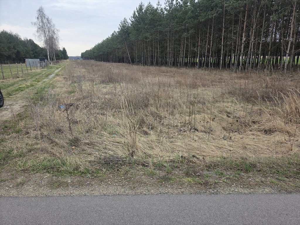 Działka 1400 m² z WZ, droga asfaltowa, las, Radom Radom, Janiszpol  1 400m2 Foto 1