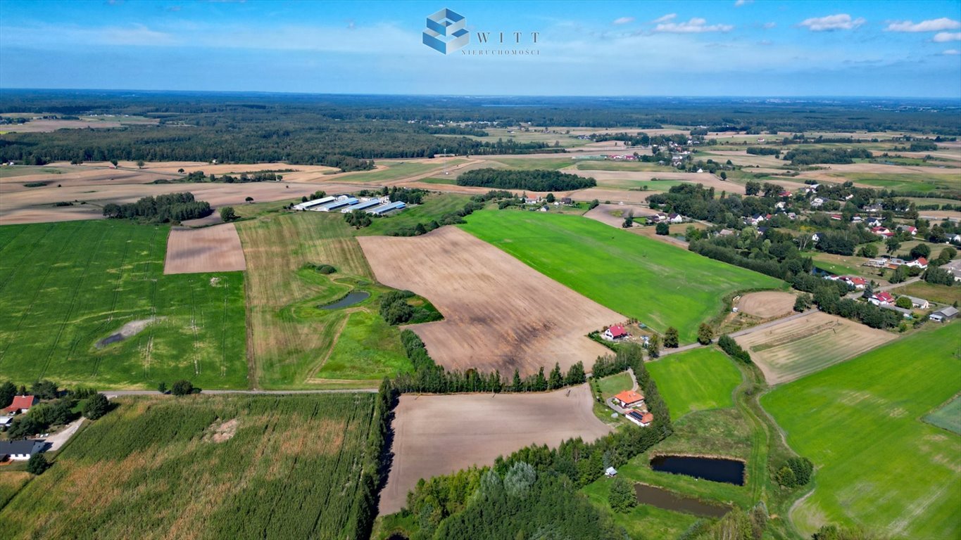 Działka budowlana na sprzedaż Franciszkowo  1 237m2 Foto 7