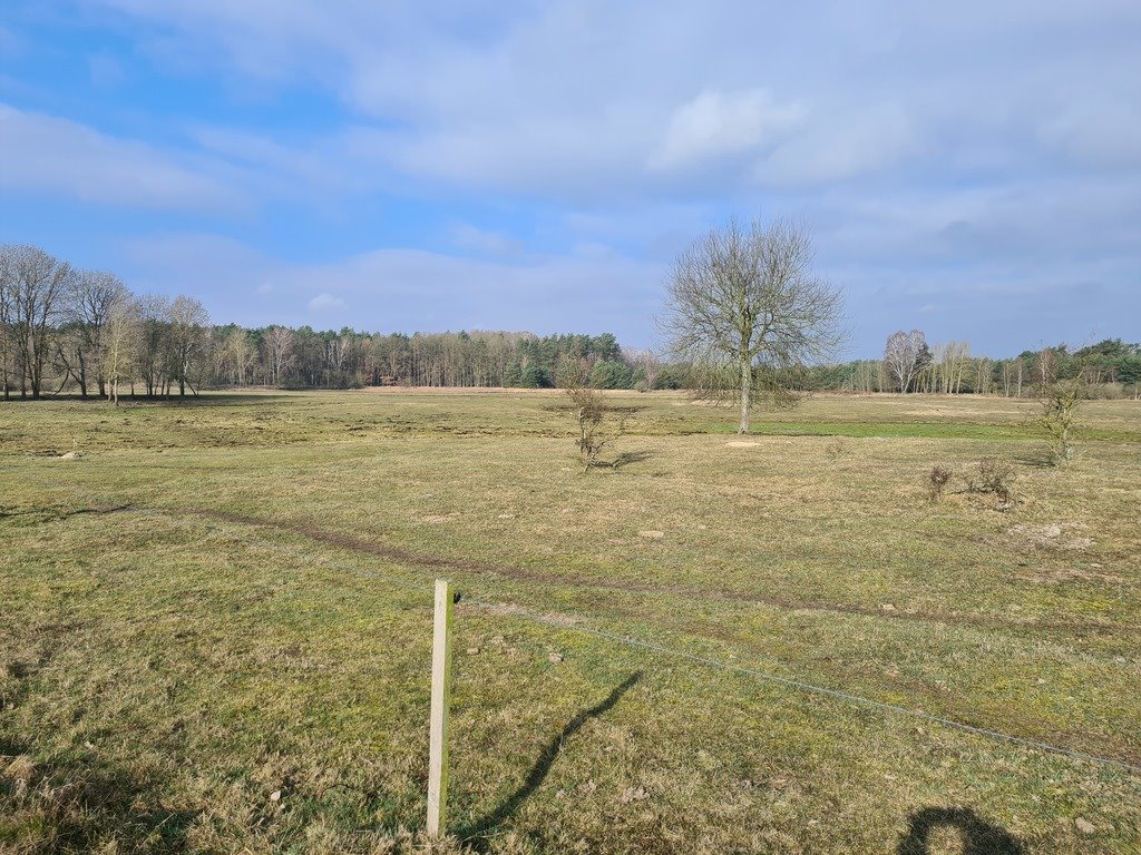 Działka 1000 m² pod zabudowę jednorodzinną w Tanowie Tanowo  1 000m2 Foto 1