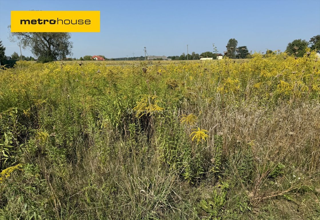 Działka rolna na sprzedaż Piasecznica, Nowa Piasecznica  3 091m2 Foto 1