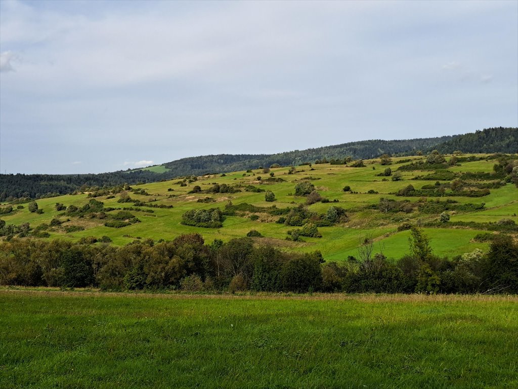 Działka rolna na sprzedaż Posada Jaśliska  9 900m2 Foto 5