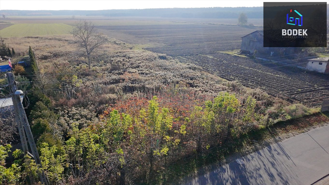 Działka budowlana na sprzedaż Miłocice, Główna  5 097m2 Foto 12