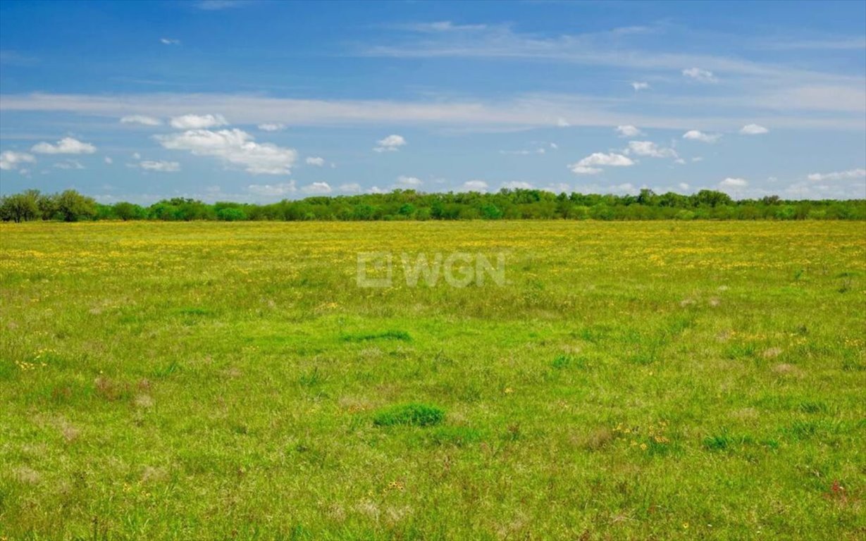Działka rolna 61 arów z dojazdem utwardzonym - Zamoście-Kolonia Zamoście-Kolonia, 335  6 100m2 Foto 1
