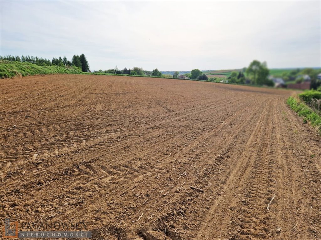 Widokowa działka 57 arów z mediami i możliwością zabudowy Raciborowice  5 700m2 Foto 1