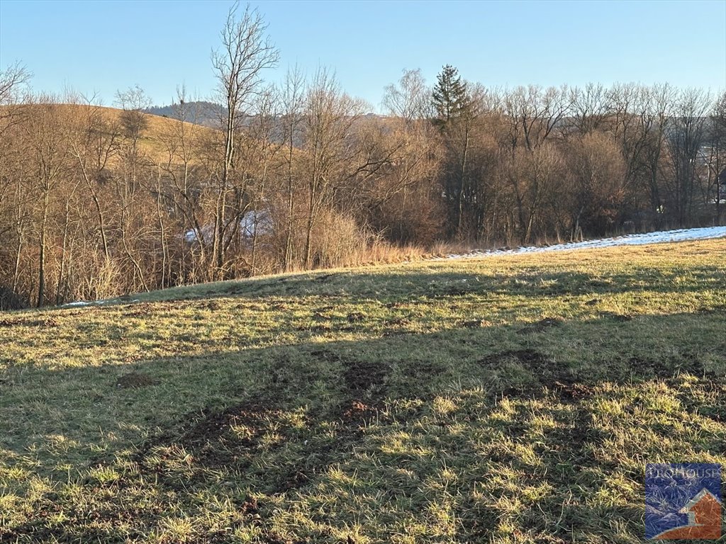 Działka budowlana na sprzedaż Męcina  4 200m2 Foto 3