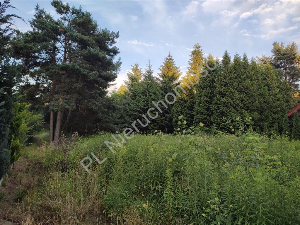 Działka budowlana na sprzedaż Nadarzyn  3 200m2 Foto 4