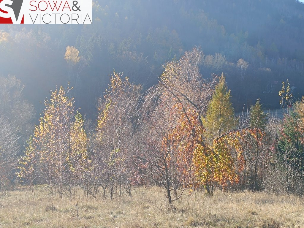 Działka budowlana na sprzedaż Jedlina-Zdrój, Kamieńsk  3 900m2 Foto 17