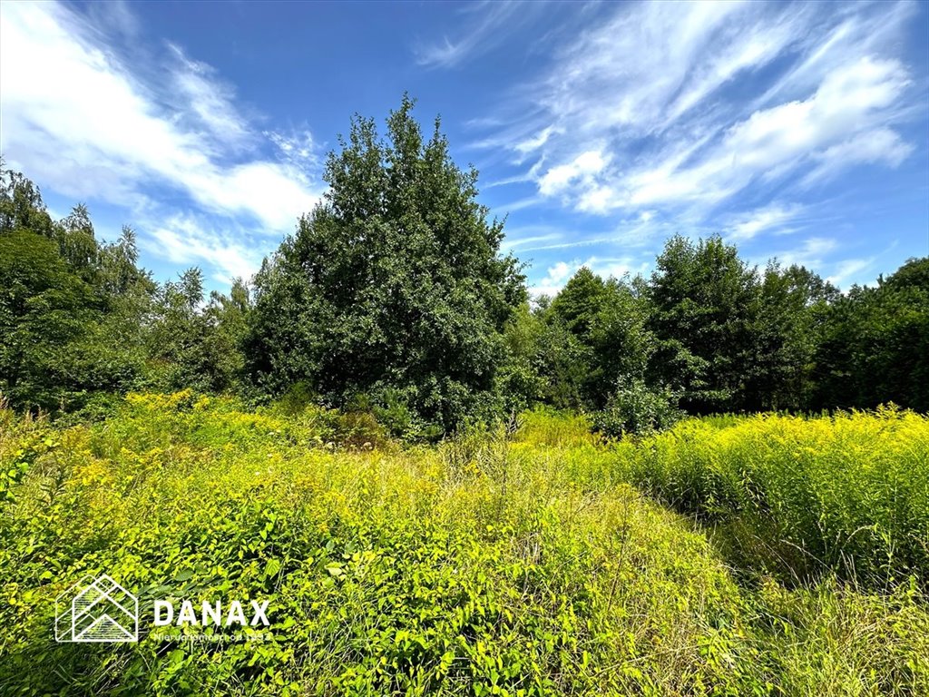 Działka budowlana na sprzedaż Wołowice  2 050m2 Foto 4