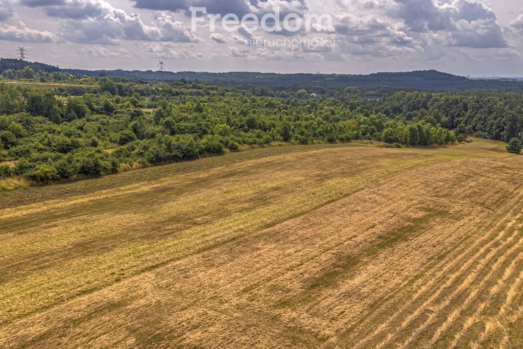 Działka rolna na sprzedaż Siemonia, Kościuszki  17 300m2 Foto 14