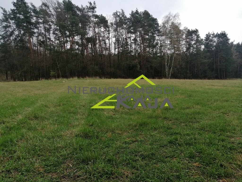 Działka budowlana na sprzedaż Grabowiec  3 008m2 Foto 15