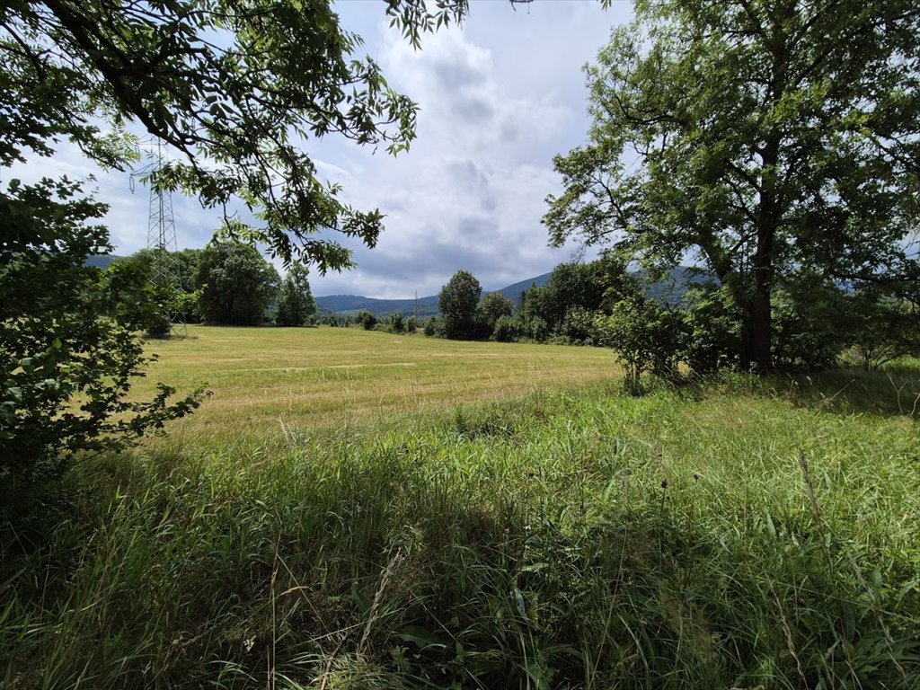 Działka przemysłowo-handlowa na sprzedaż Kowary  55 000m2 Foto 4