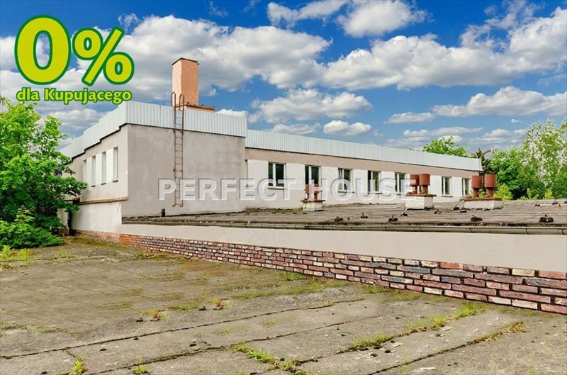 Lokal użytkowy na sprzedaż Zbrudzewo 1 766m2 Foto 1 Lokal użytkowy na sprzedaż Zbrudzewo 1 766m2 Foto 1