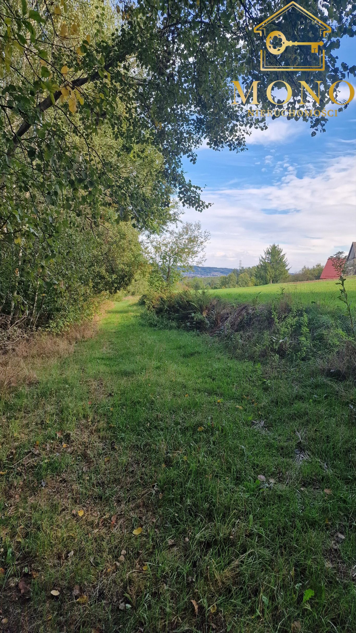 Działka inna na sprzedaż Łowczów  27 000m2 Foto 2