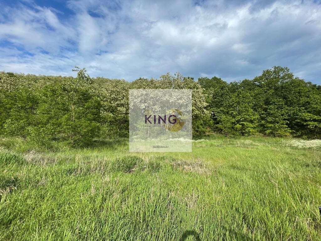 Działka 10,55 ha z lasami i łąkami, możliwość budowy Czermnica  105 500m2 Foto 1