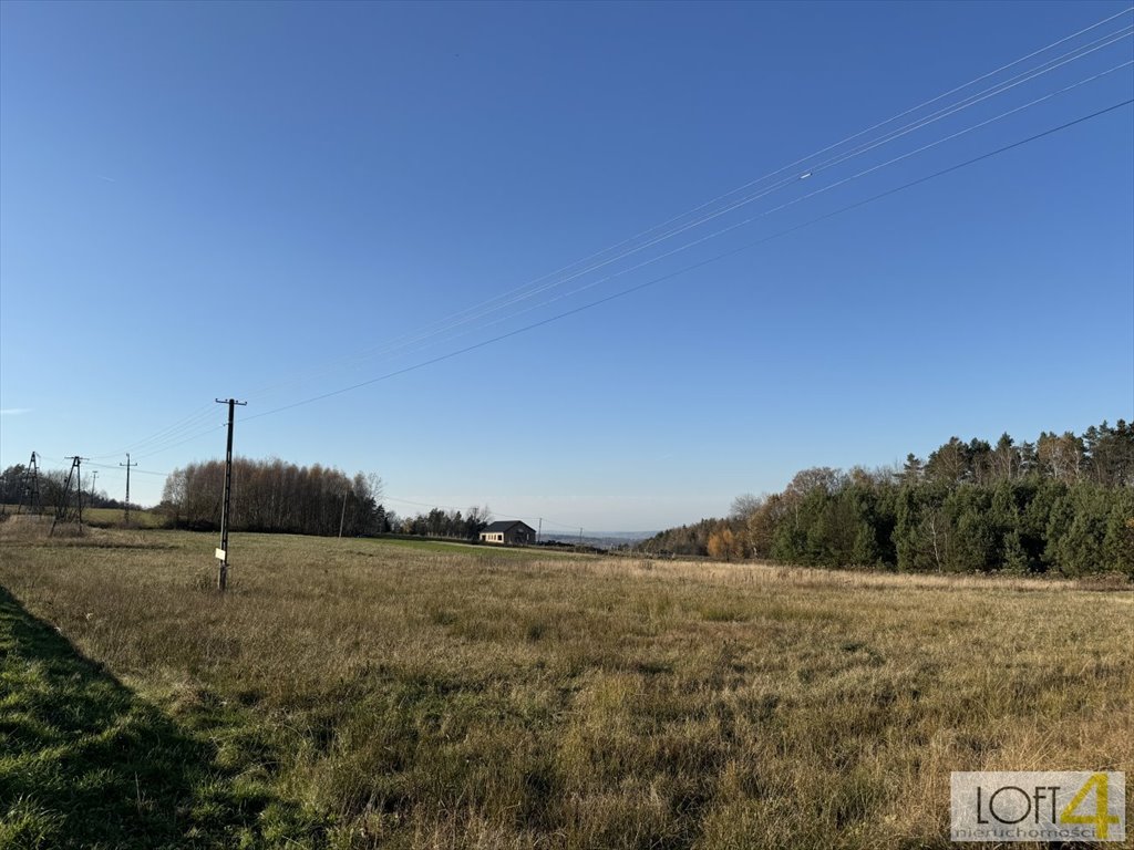 Działka budowlana na sprzedaż Polichty  3 000m2 Foto 9