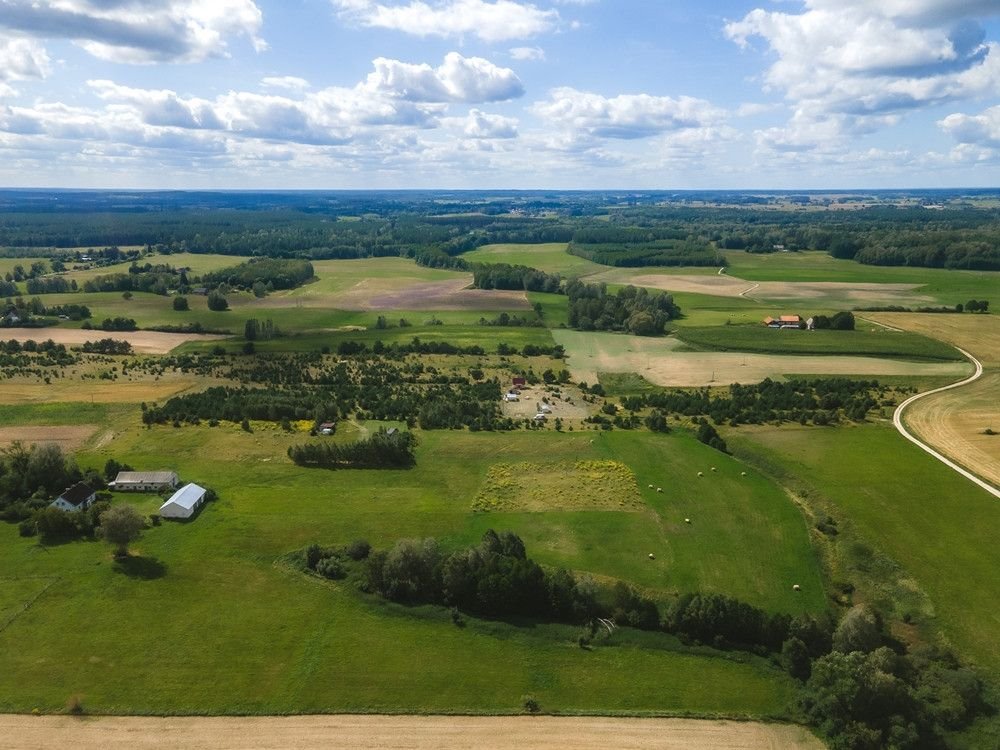 Działka rolna na sprzedaż Targowo  3 365m2 Foto 8