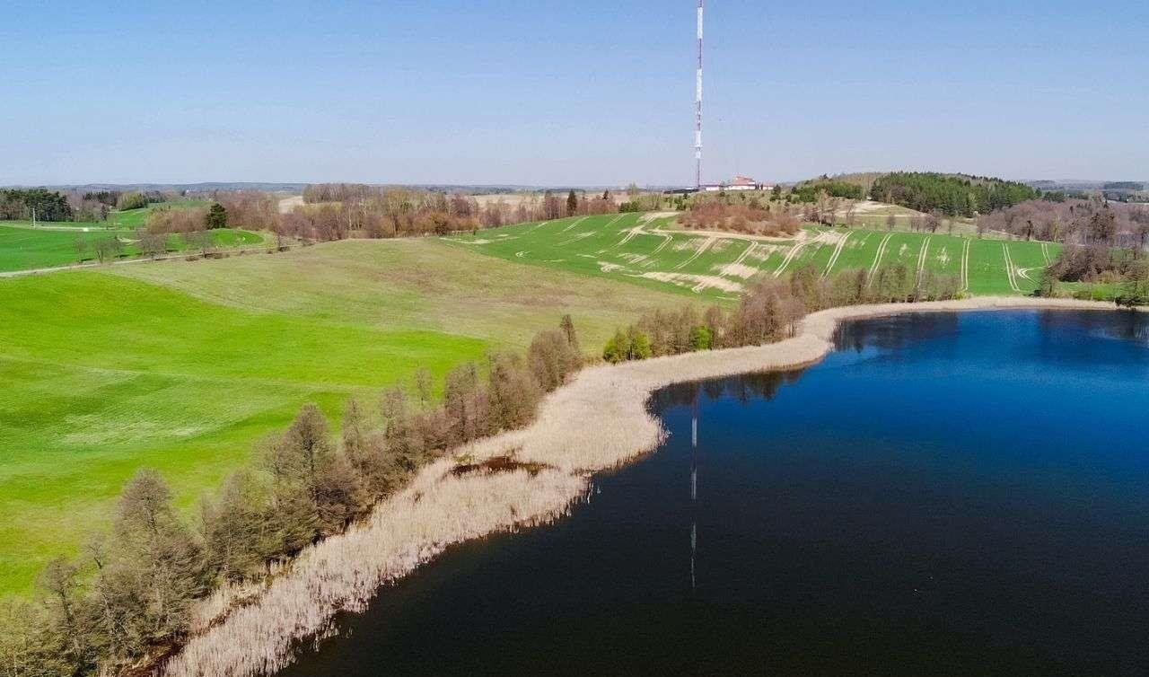 Działka budowlana na sprzedaż Miłki  10 002m2 Foto 14