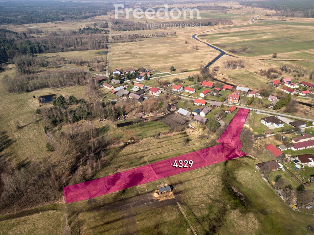 Działka budowlana na sprzedaż Dąbrowa Zielona  4 080m2 Foto 1