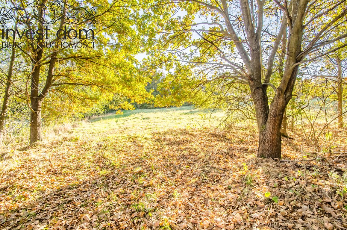 Działka budowlana na sprzedaż Gorlice  5 763m2 Foto 5