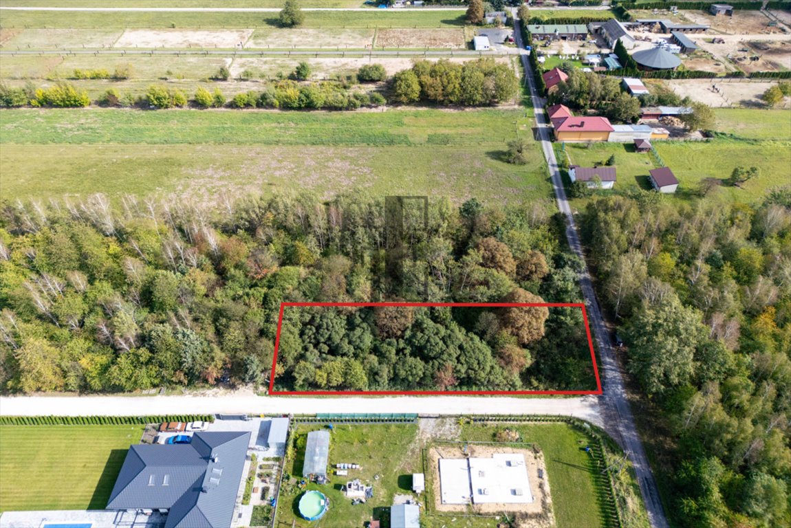 Działka budowlana na sprzedaż Terenia  1 500m2 Foto 4