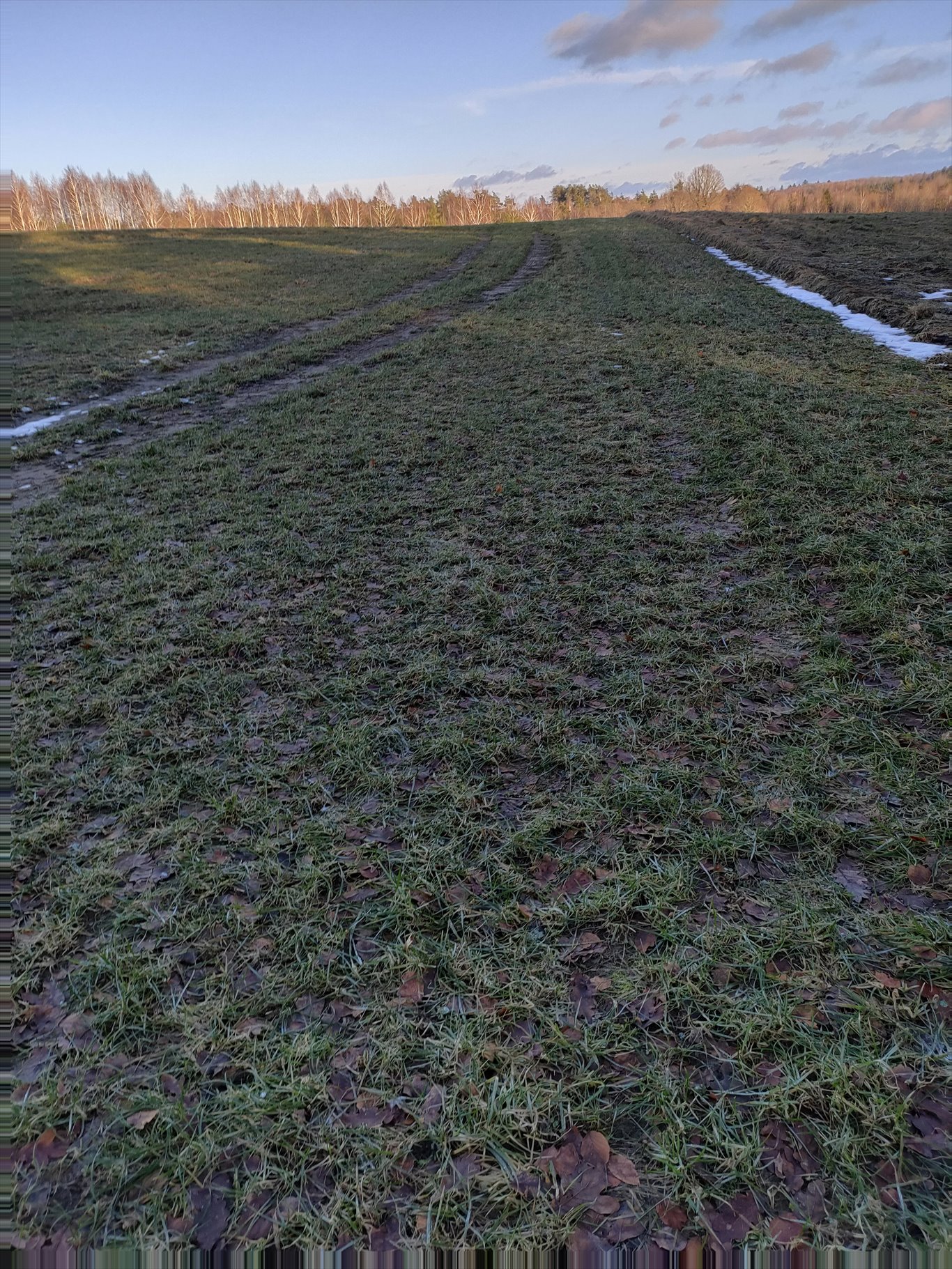 Działka siedliskowa na sprzedaż Cewice, pieski  3 000m2 Foto 2