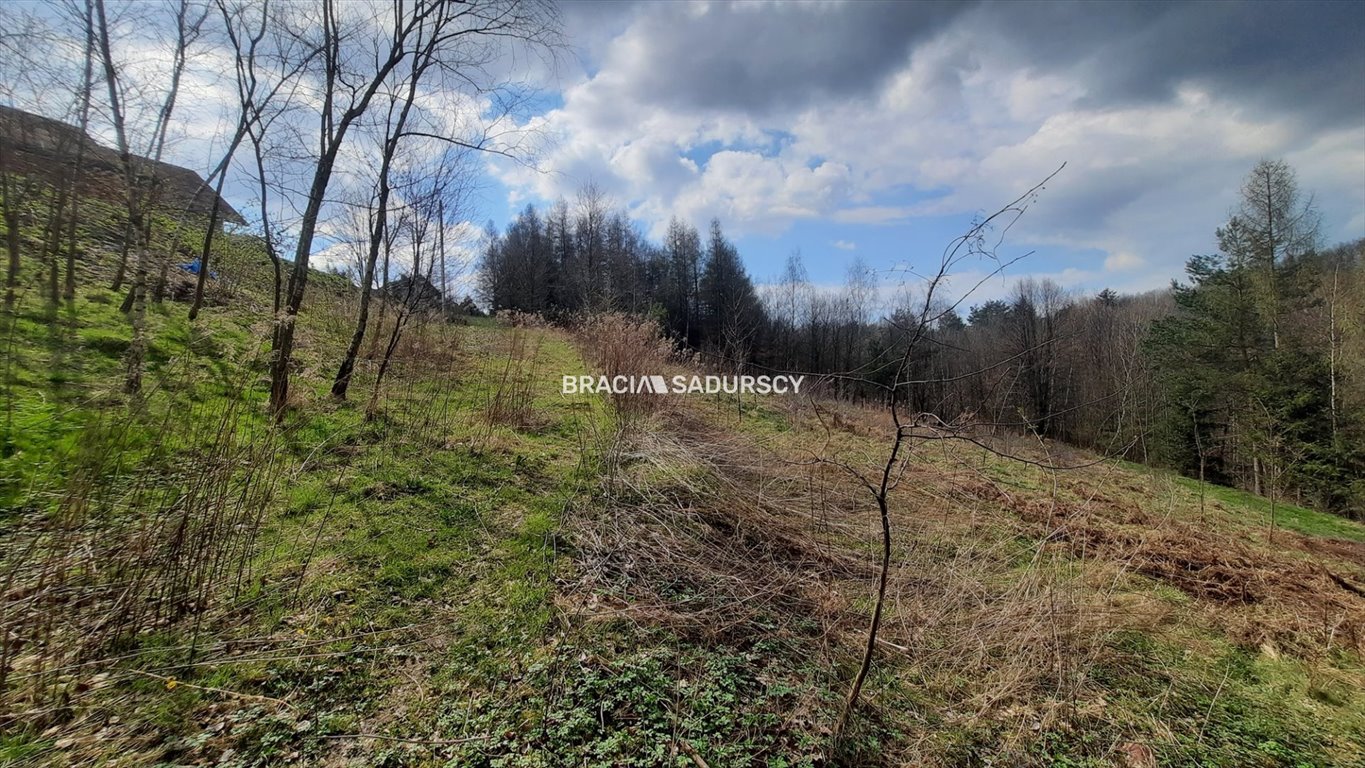 Działka budowlana 2300 m² w otoczeniu lasu, las, media Borzęta  2 300m2 Foto 1