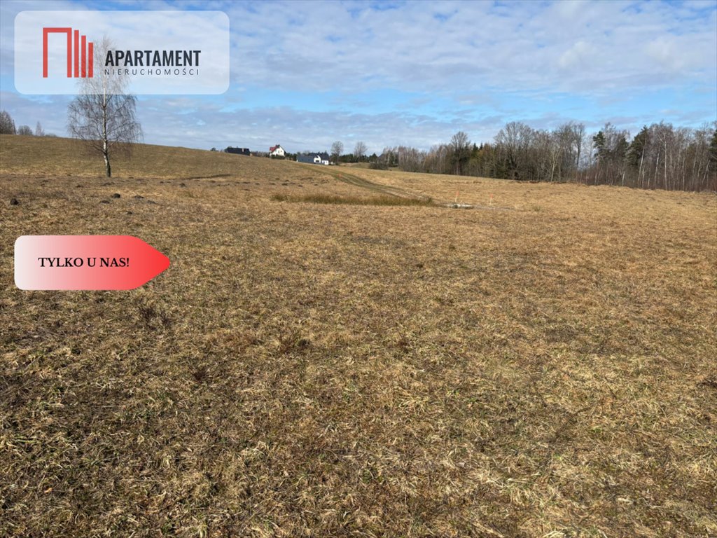 Działka budowlana 4061 m² z warunkami zabudowy, blisko natury Pomlewo  4 061m2 Foto 1