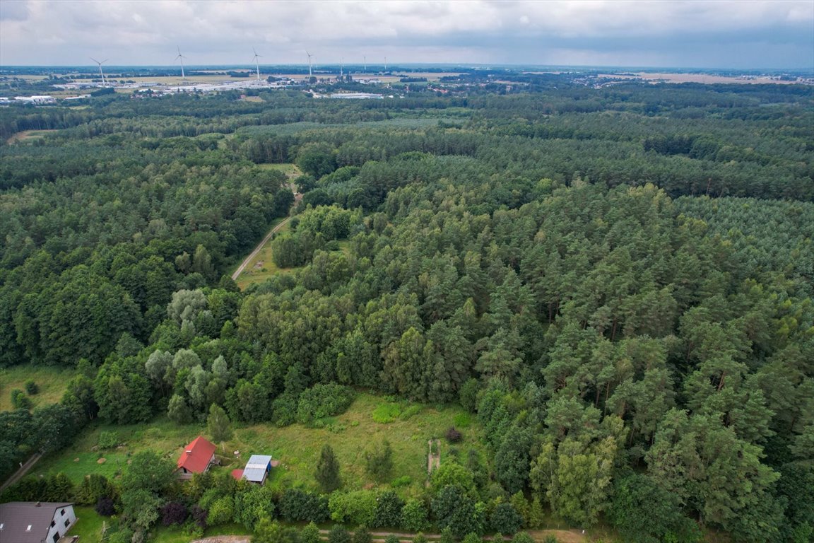 Działka budowlana na sprzedaż Niewierowo, Niewierowo  1 573m2 Foto 5