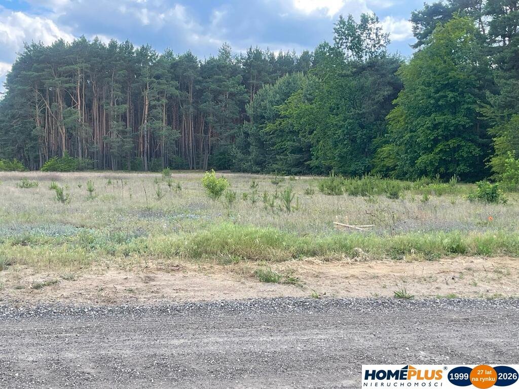 Działka 6241 m² pod zabudowę ekstensywną - polecam!: Ruda