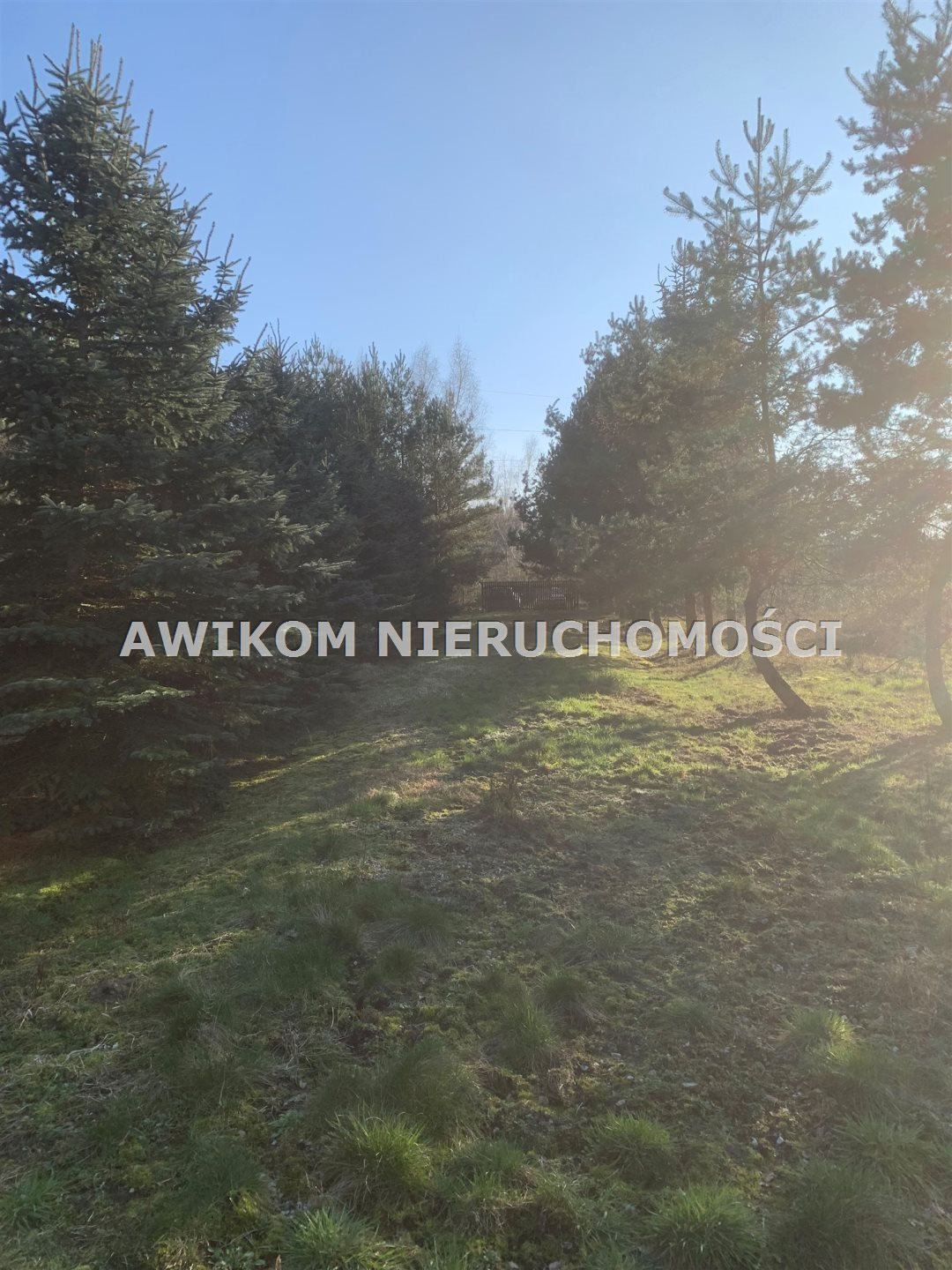 Działka z stawami, rzeczką i lasem (MPZP) w Adamowicach Adamowice  10 200m2 Foto 1
