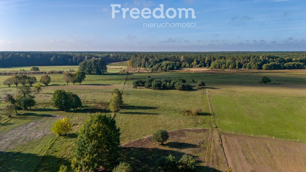 Działka budowlana na sprzedaż Borki, Błękitna  28 300m2 Foto 11