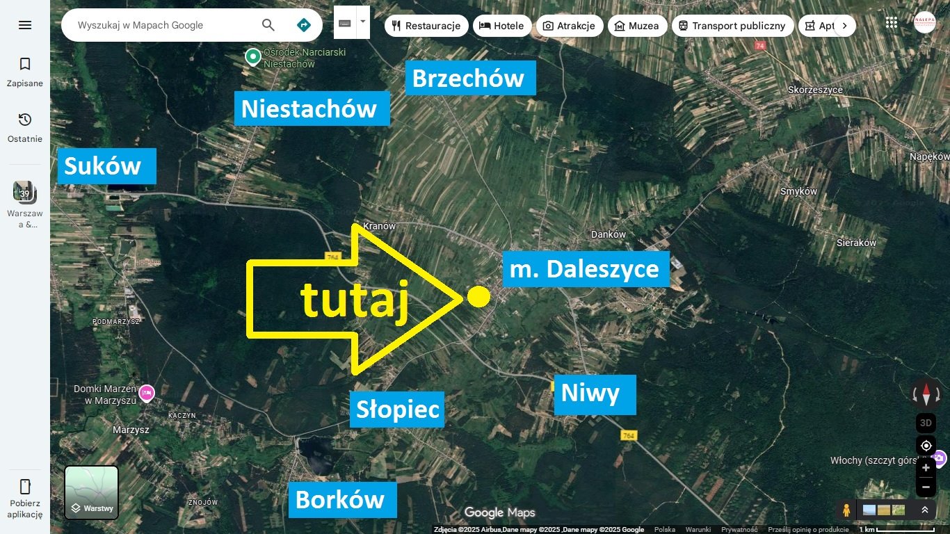 Działka budowlana na sprzedaż Daleszyce, Polna  5 002m2 Foto 1