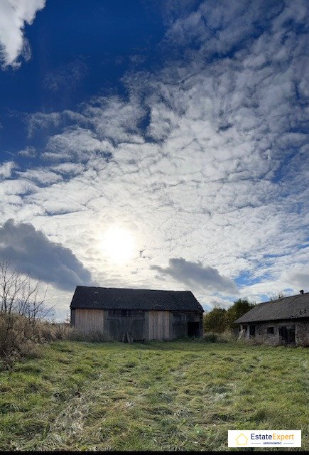 Działka rolna na sprzedaż Wiącka, 118  20 000m2 Foto 8