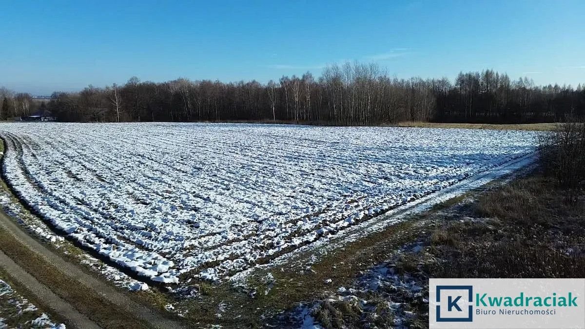 Działka budowlana na sprzedaż Machnówka  1 450m2 Foto 2