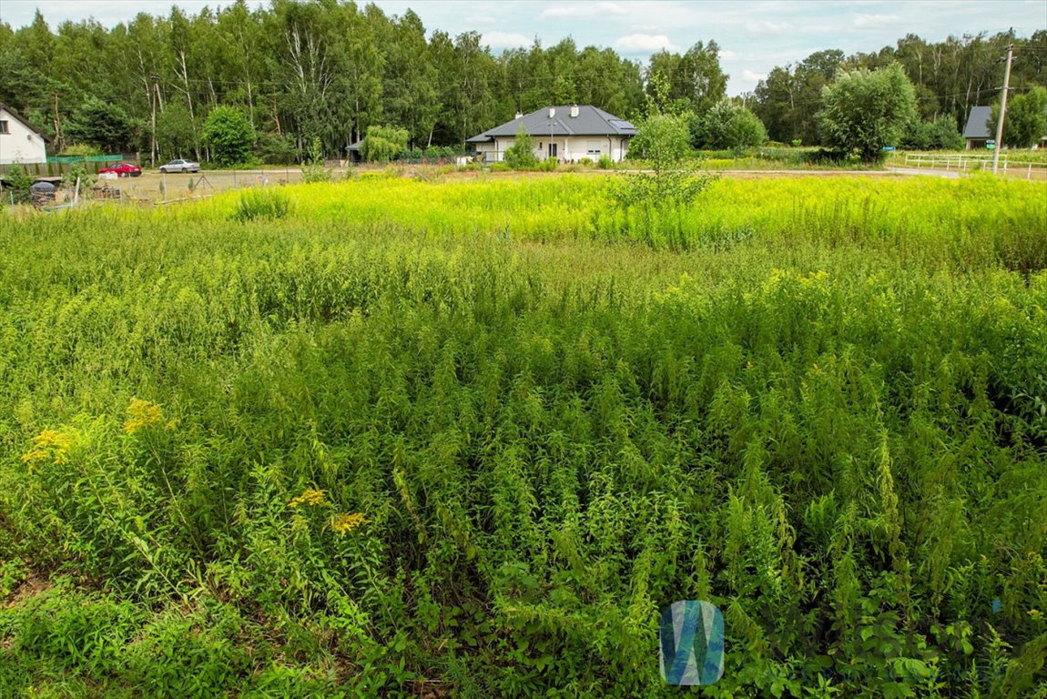 Działka budowlana na sprzedaż Pasikonie, Kucyków  1 498m2 Foto 7