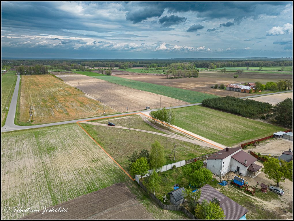 Działka rolna na sprzedaż Bibianna  3 000m2 Foto 5