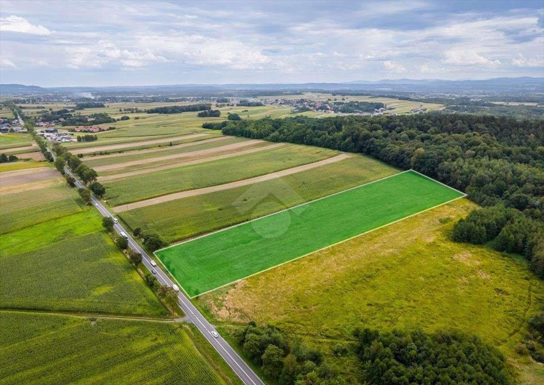Na sprzedaż działka rolna 2,6 ha z dostępem do drogi wojewódzkiej Czułówek  26 000m2 Foto 1