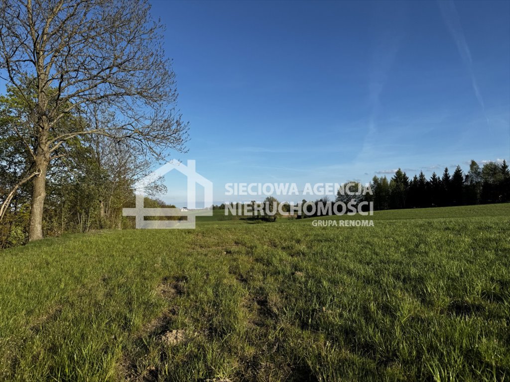 Działka budowlana na sprzedaż Hopy  1 034m2 Foto 1